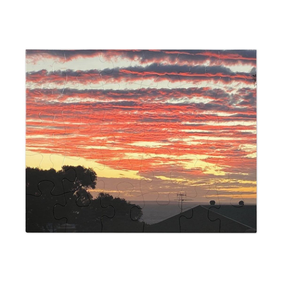 Jigsaw Puzzle (30, 110, 252, 500,1000-Piece)