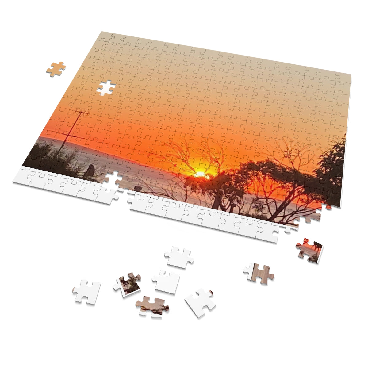 Jigsaw Puzzle (30, 110, 252, 500,1000-Piece)