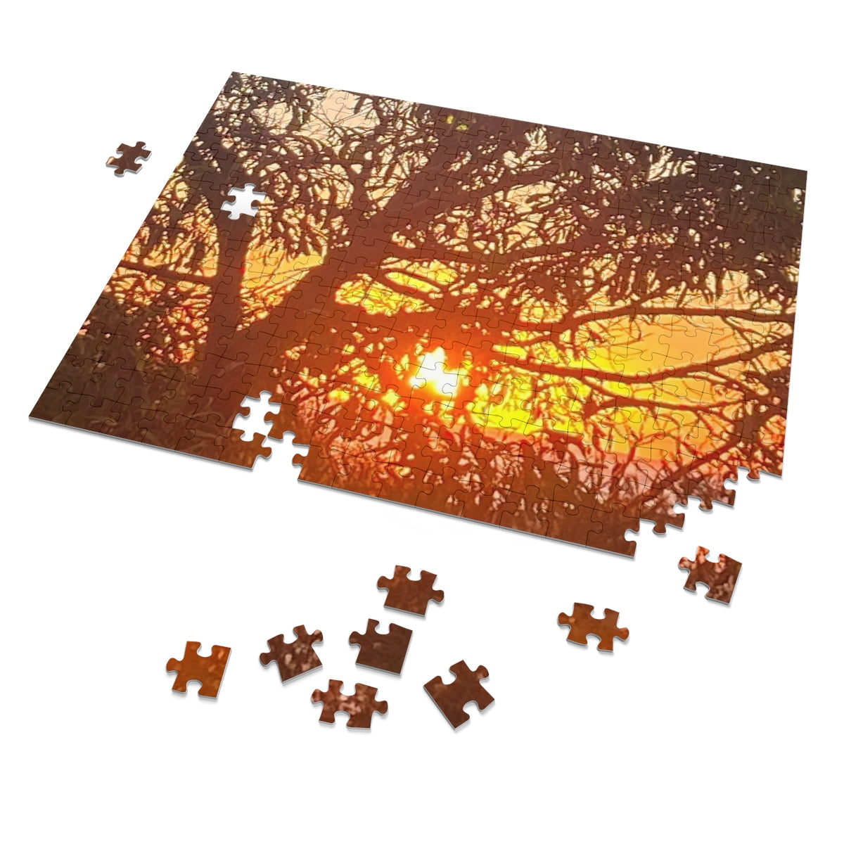 Jigsaw Puzzle (30, 110, 252, 500,1000-Piece)