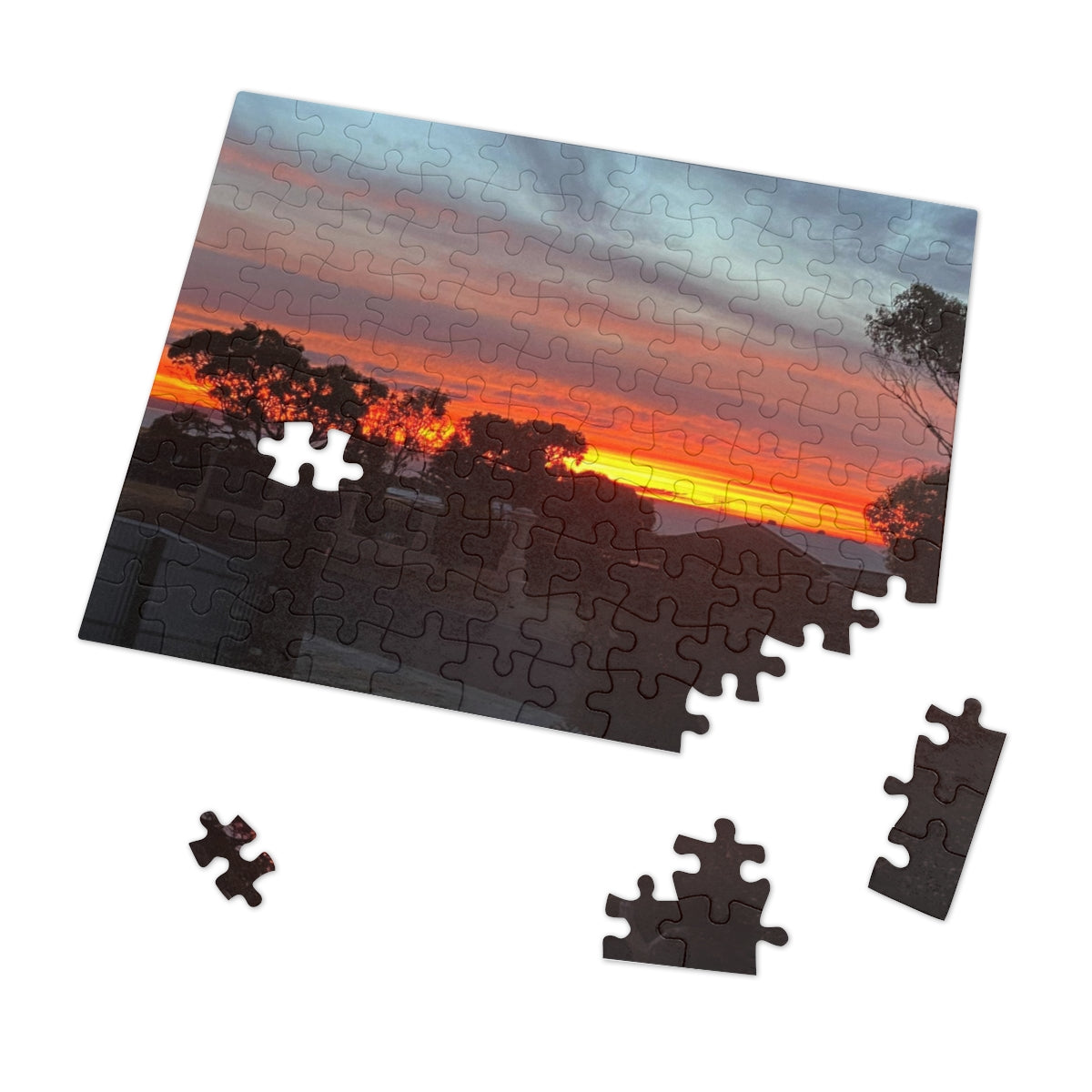 Jigsaw Puzzle (30, 110, 252, 500,1000-Piece)