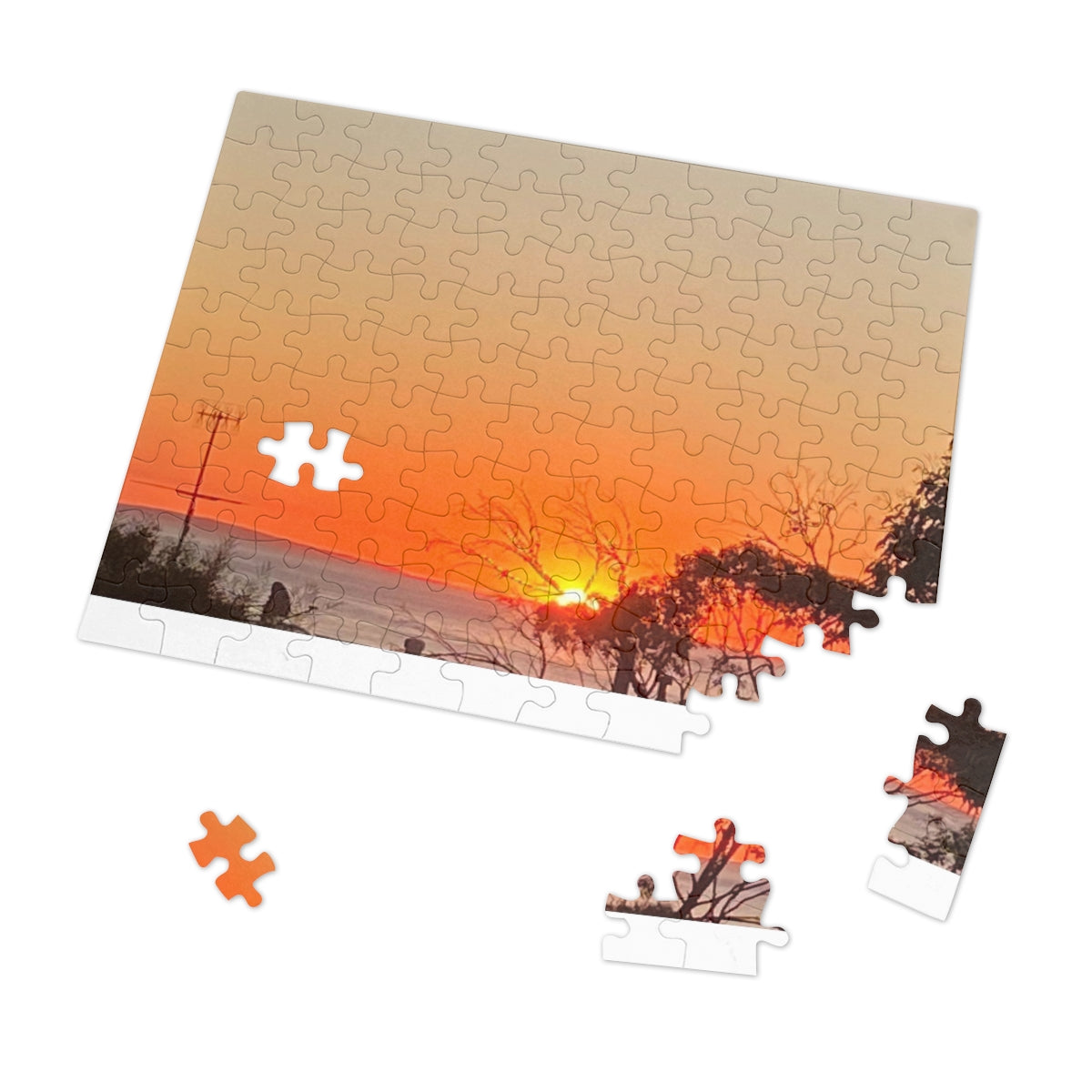 Jigsaw Puzzle (30, 110, 252, 500,1000-Piece)