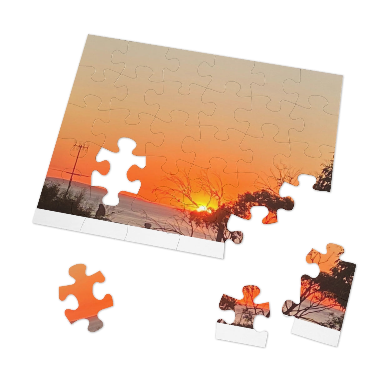 Jigsaw Puzzle (30, 110, 252, 500,1000-Piece)