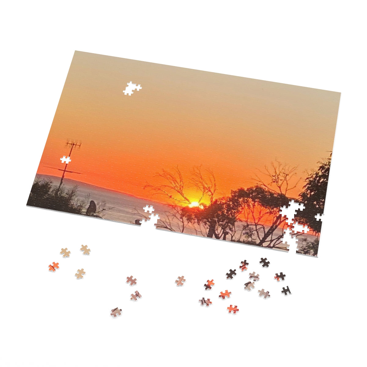 Jigsaw Puzzle (30, 110, 252, 500,1000-Piece)