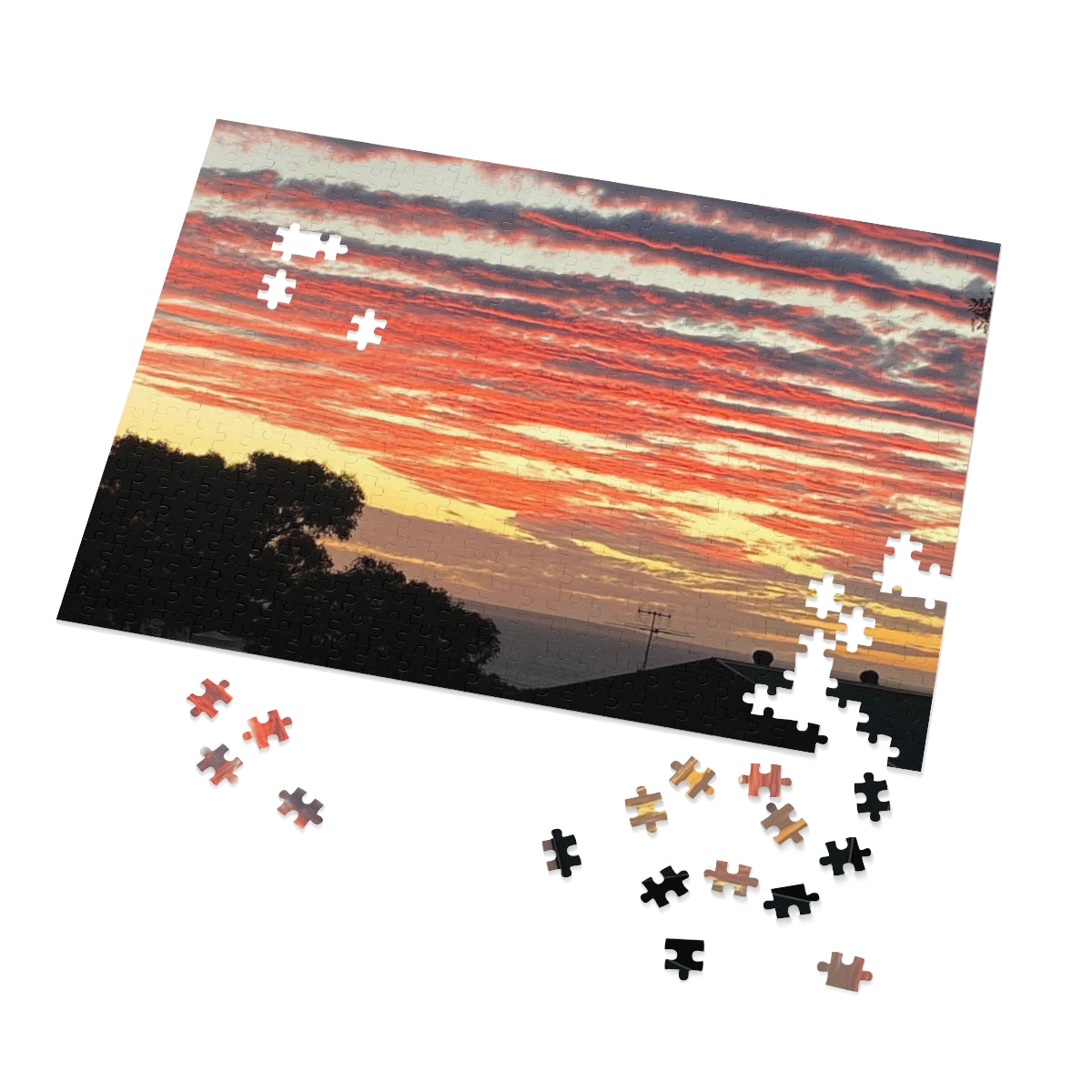 Jigsaw Puzzle (30, 110, 252, 500,1000-Piece)