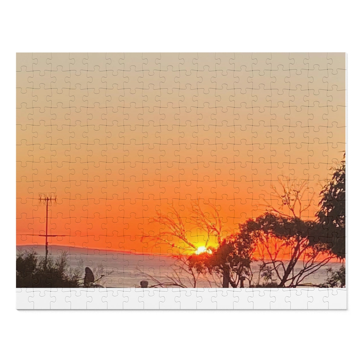 Jigsaw Puzzle (30, 110, 252, 500,1000-Piece)
