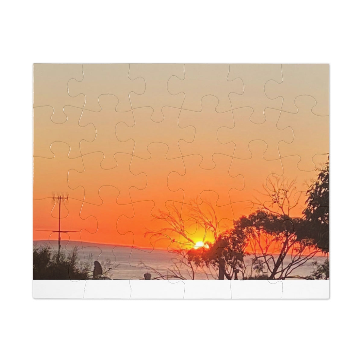 Jigsaw Puzzle (30, 110, 252, 500,1000-Piece)
