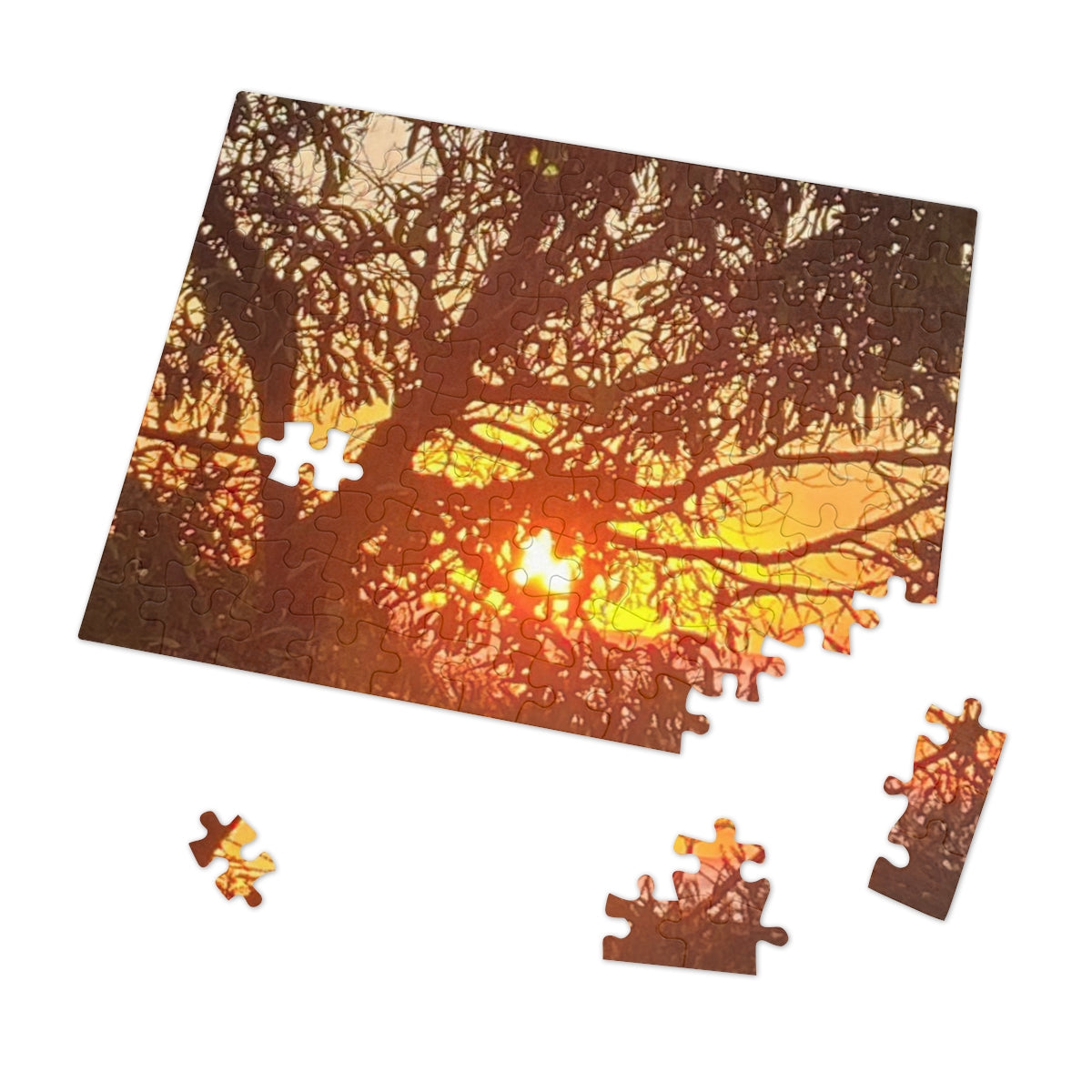 Jigsaw Puzzle (30, 110, 252, 500,1000-Piece)