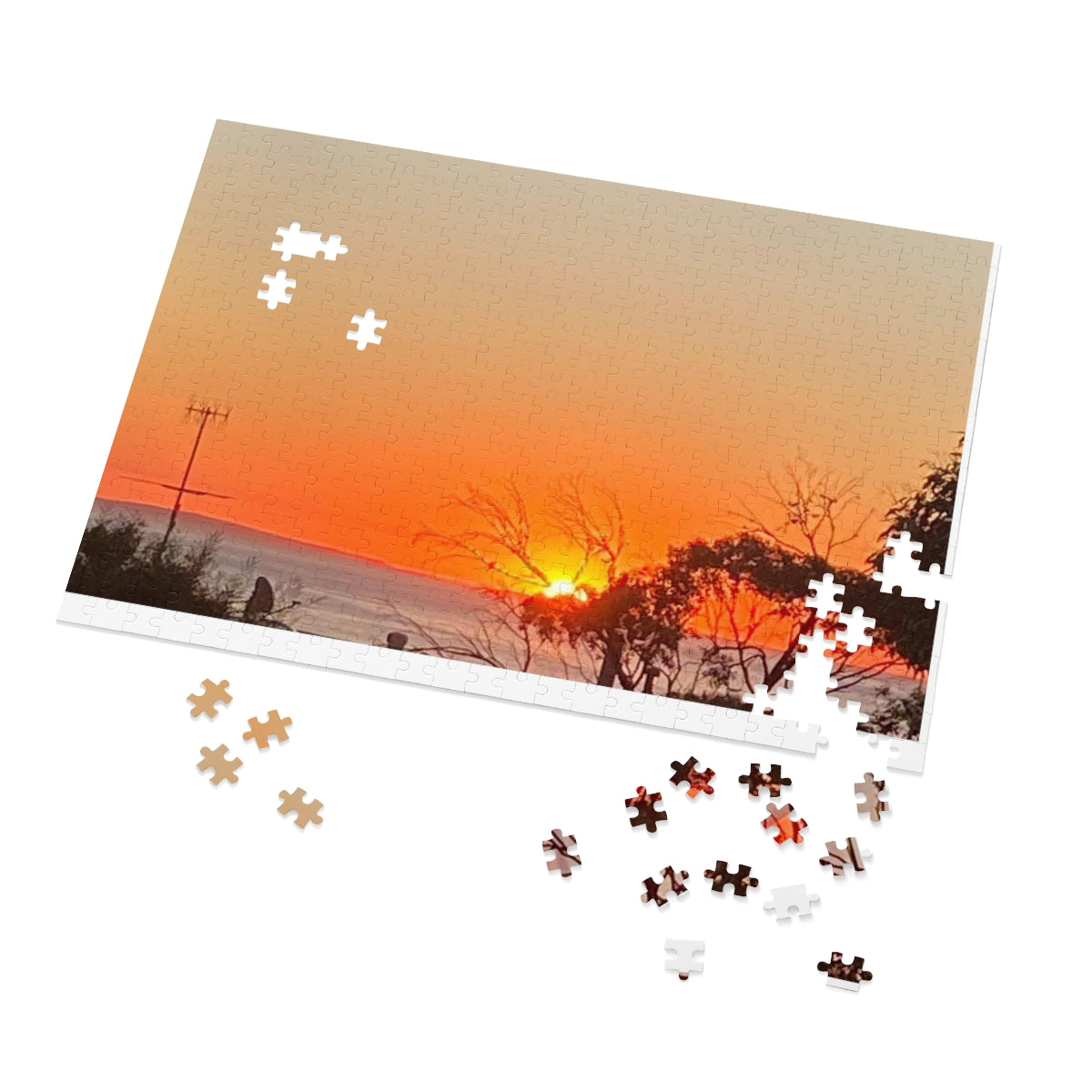 Jigsaw Puzzle (30, 110, 252, 500,1000-Piece)